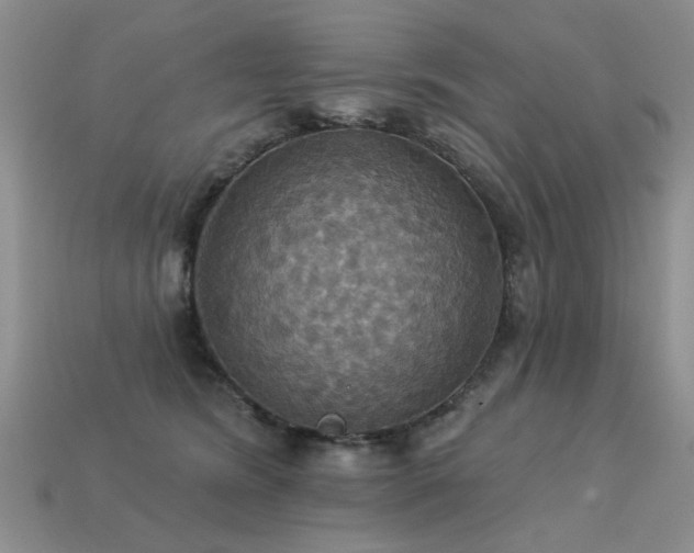 X0000113230420200909101215