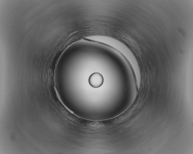 X0000113230421200909101215