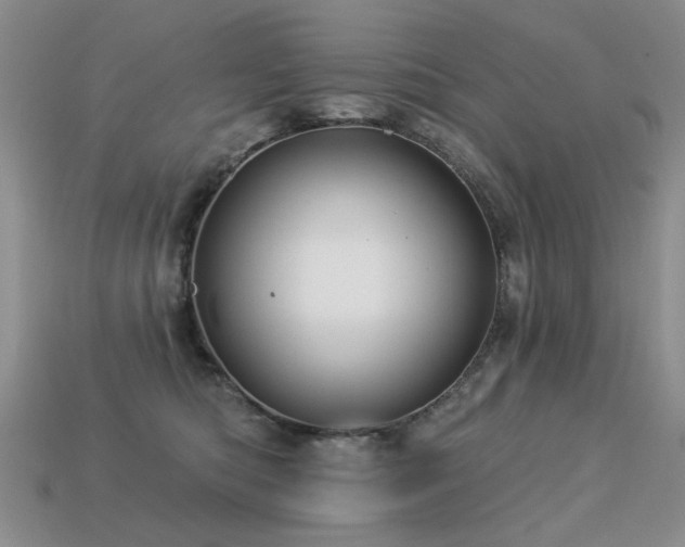 X0000113230422200909101215