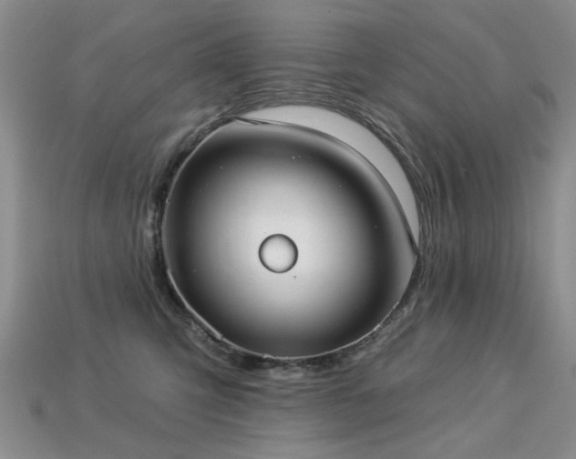 X0000113230423200909101215