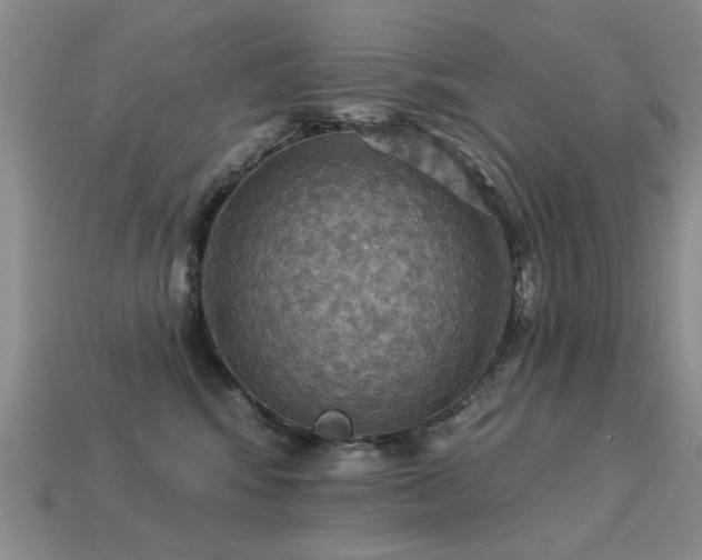 X0000113230424200909101215