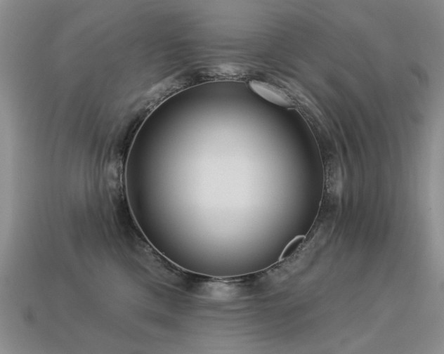 X0000113230425200909101215