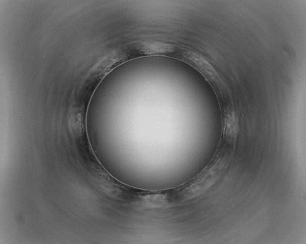 X0000113230426200909101215