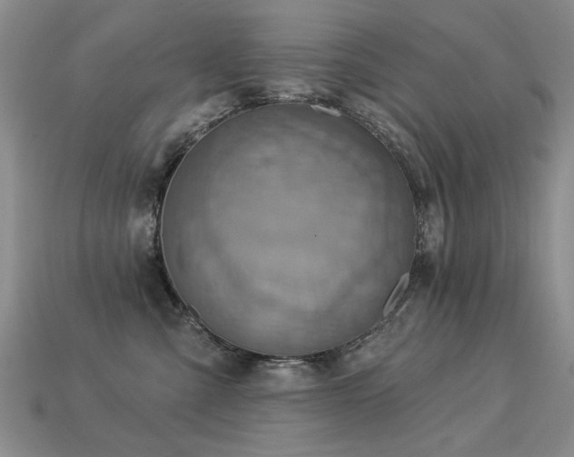 X0000113230427200909101215