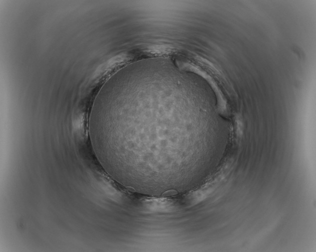 X0000113230428200909101215