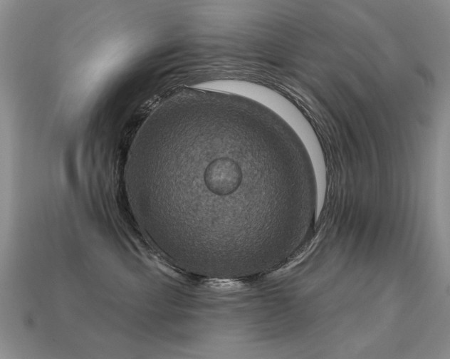X0000113230429200909101215
