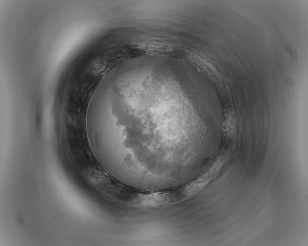 X0000113230430200909101215