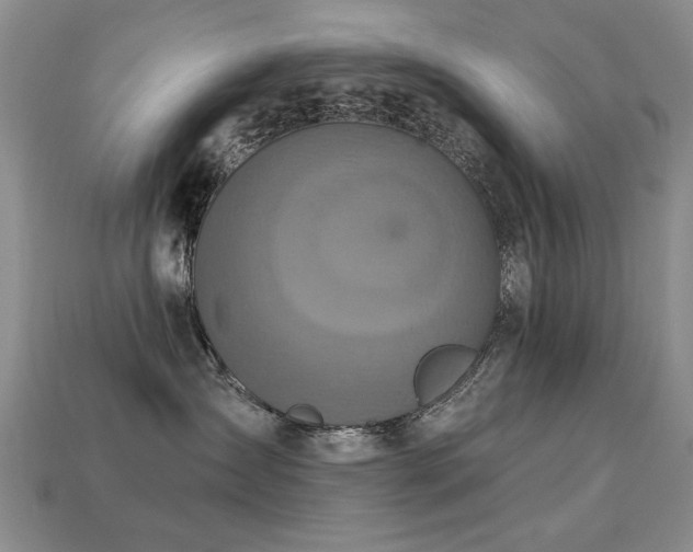 X0000113230431200909101215