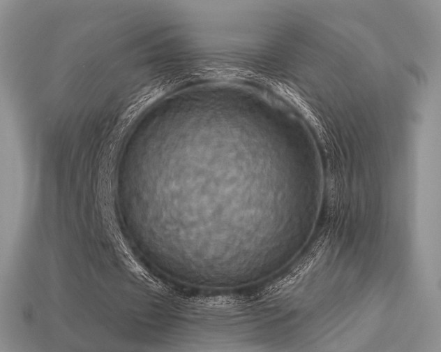 X0000113230433200909101214