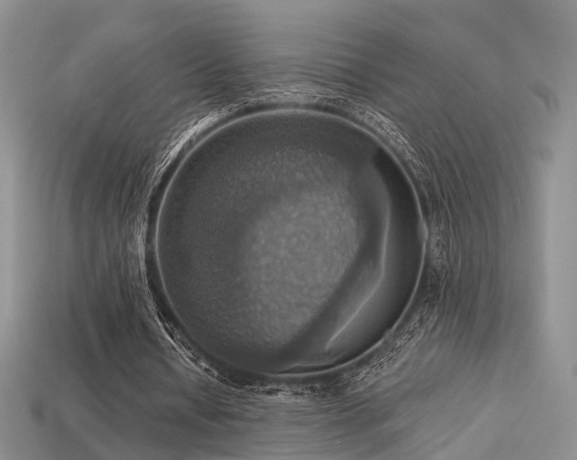 X0000113230434200909101214