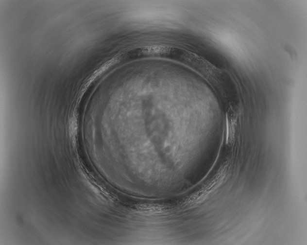 X0000113230435200909101214