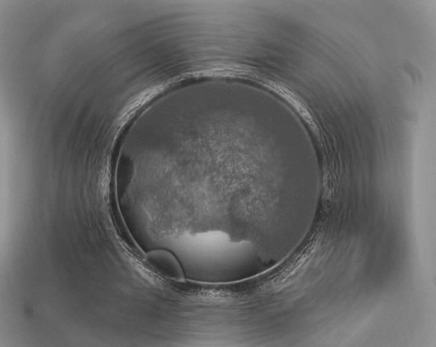 X0000113230437200909101214