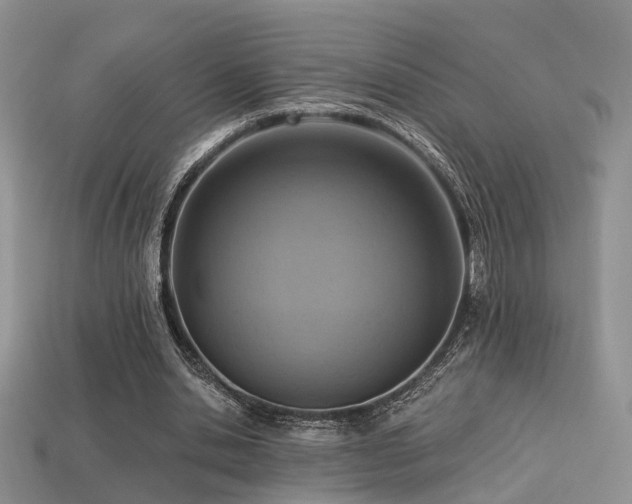 X0000113230438200909101214