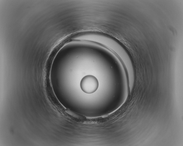 X0000113230440200909101214