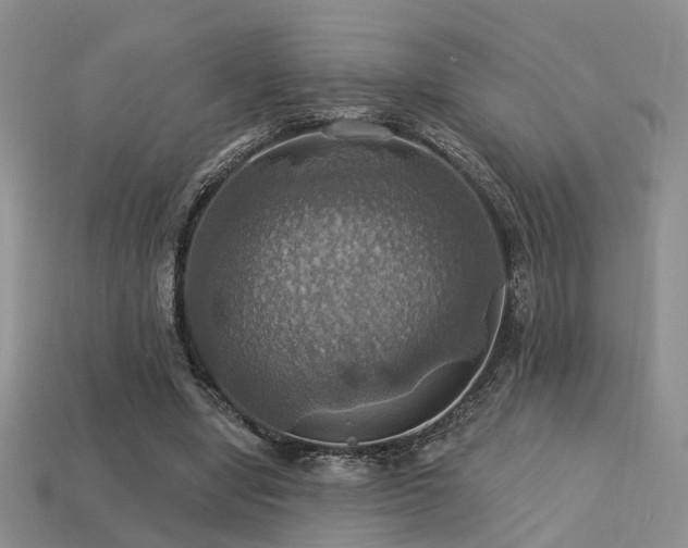 X0000113230442200909101214