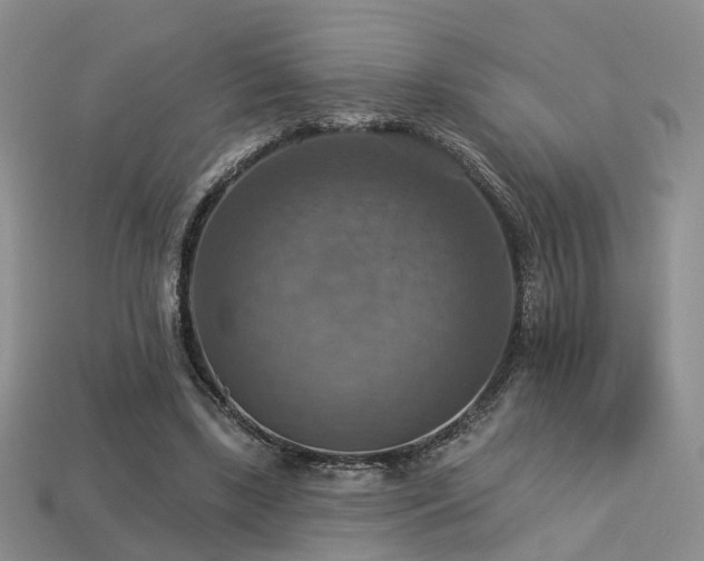 X0000113230443200909101214
