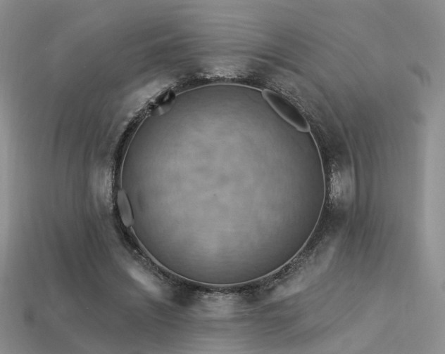 X0000113230444200909101214