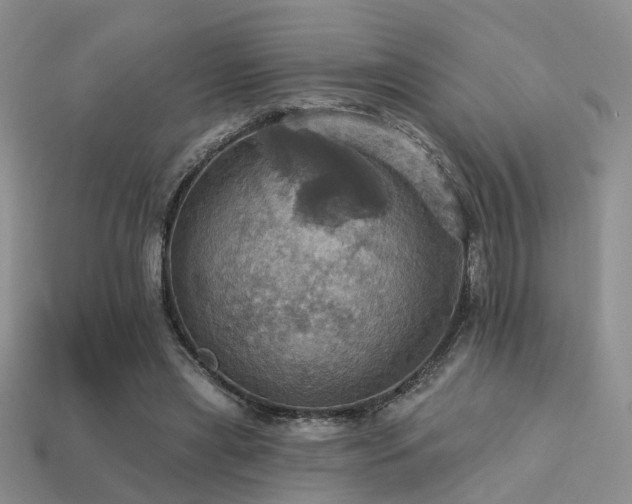X0000113230445200909101214