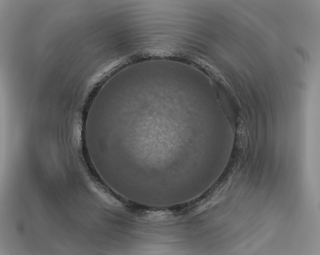 X0000113230446200909101214