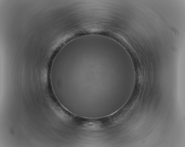 X0000113230447200909101214