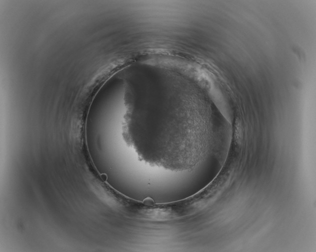 X0000113230449200909101214