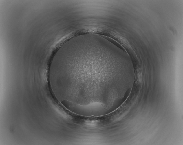 X0000113230450200909101214