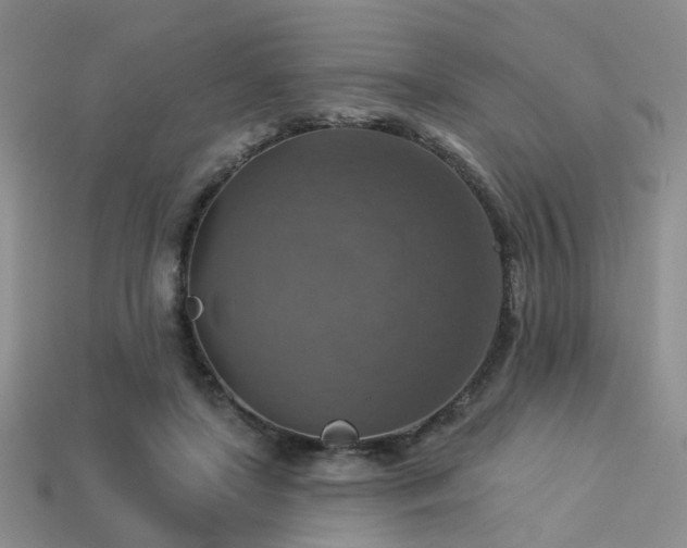 X0000113230451200909101214