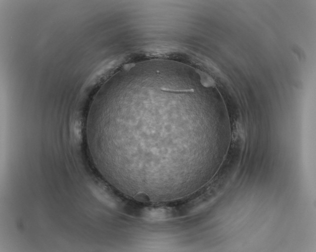 X0000113230452200909101214