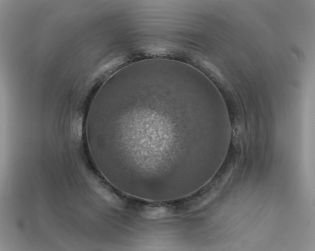 X0000113230454200909101214