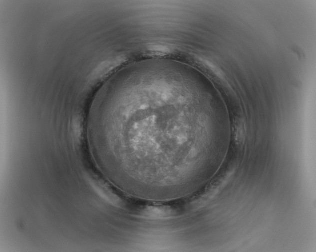 X0000113230455200909101214