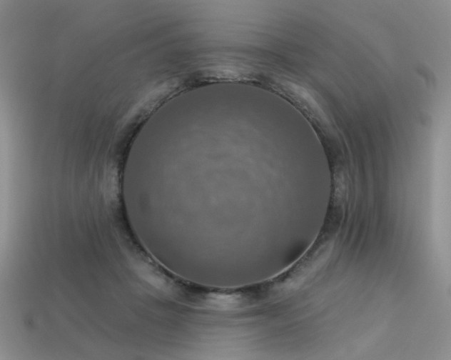 X0000113230457200909101214
