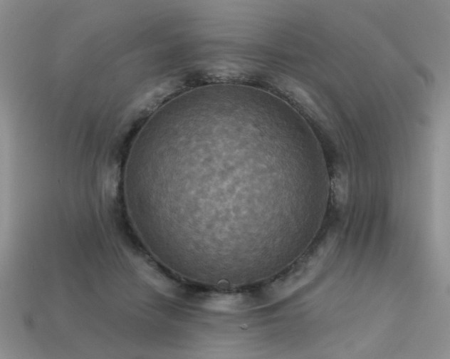 X0000113230458200909101214