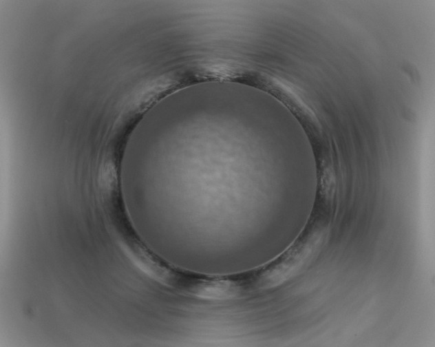 X0000113230459200909101214