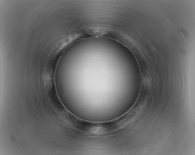 X0000113230460200909101214