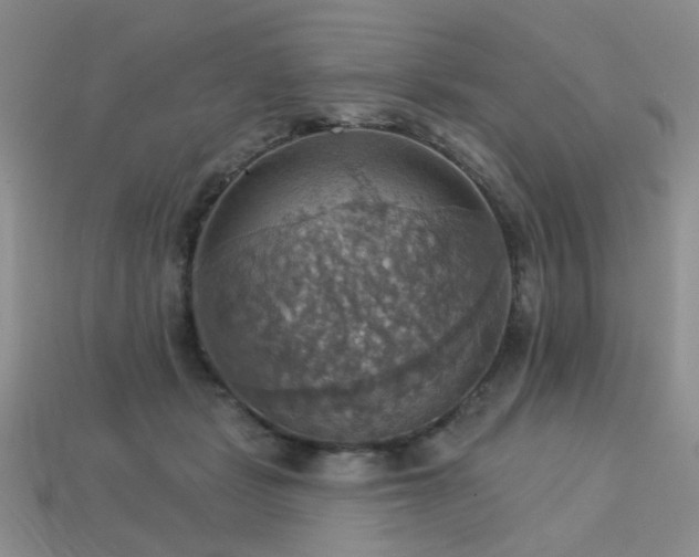 X0000113230461200909101214