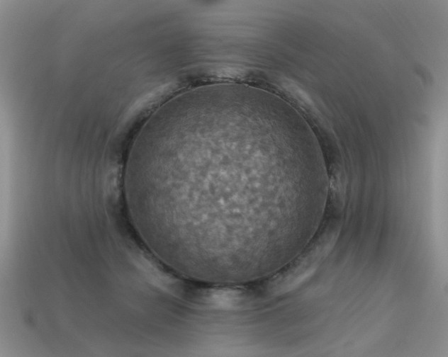 X0000113230462200909101215