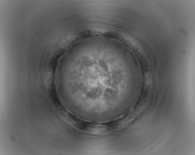 X0000113230463200909101215