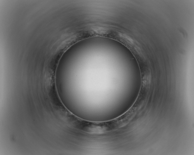 X0000113230464200909101215