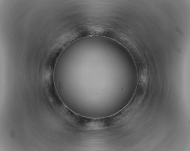 X0000113230468200909101215