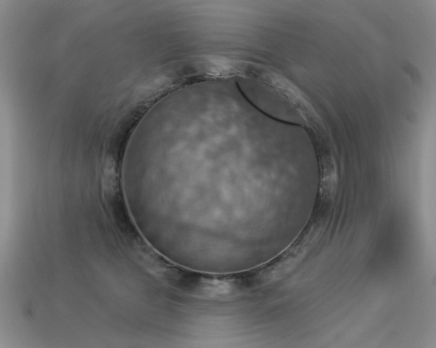 X0000113230469200909101215