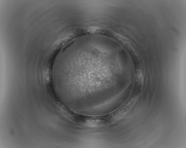 X0000113230470200909101215