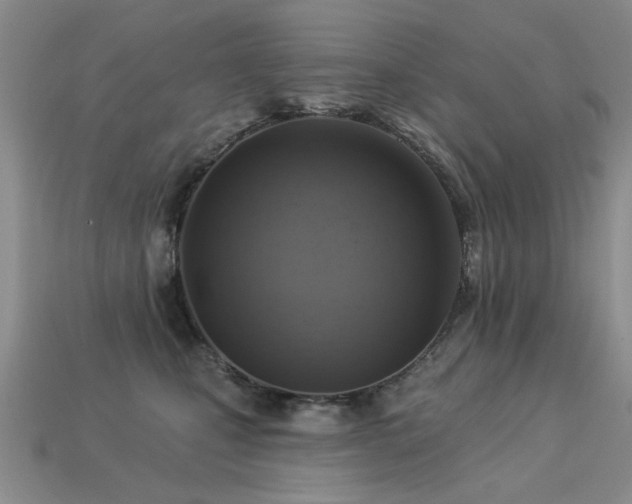X0000113230471200909101215