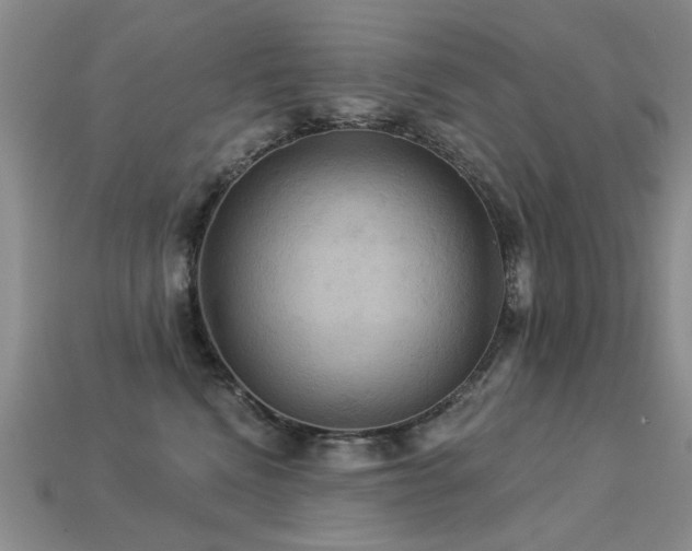 X0000113230472200909101215
