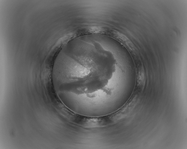 X0000113230473200909101215