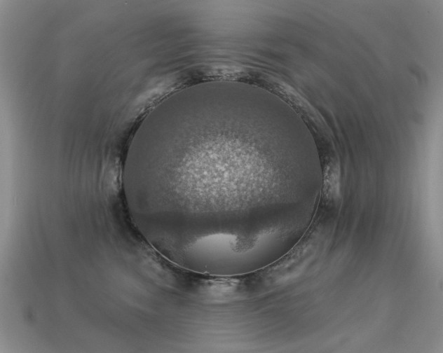 X0000113230474200909101215
