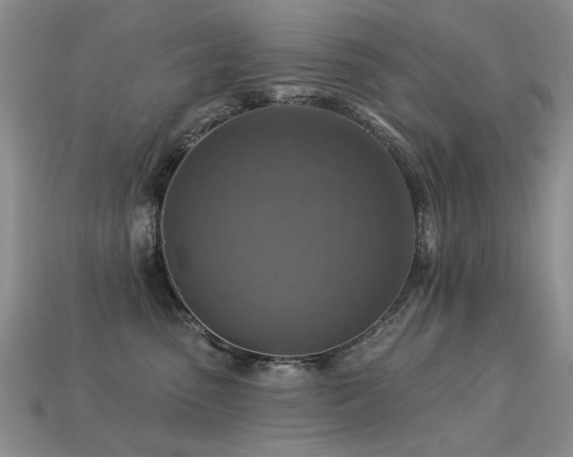 X0000113230475200909101215