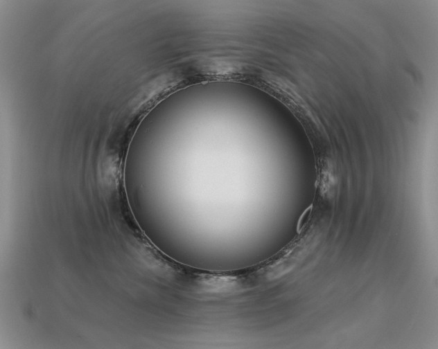 X0000113230476200909101215