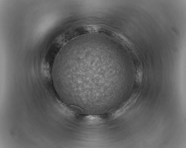 X0000113230477200909101215