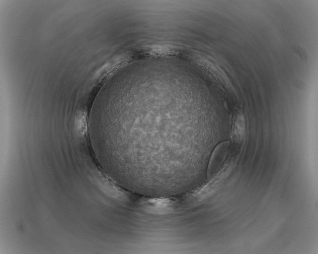 X0000113230478200909101215
