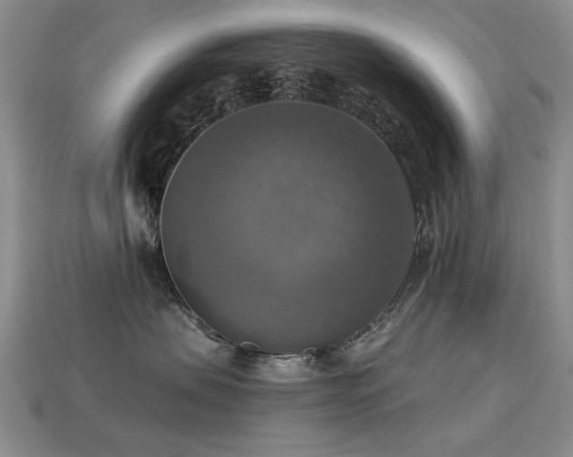 X0000113230479200909101215